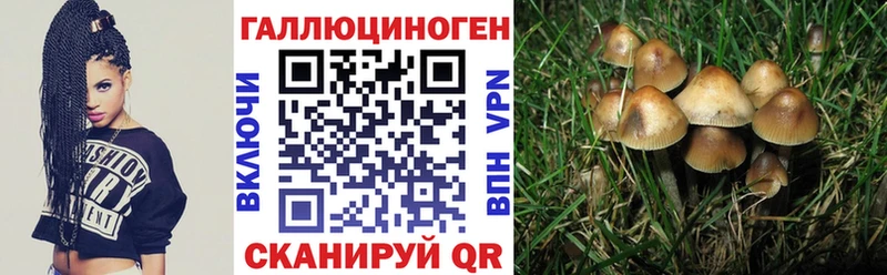 Галлюциногенные грибы прущие грибы  Советский 